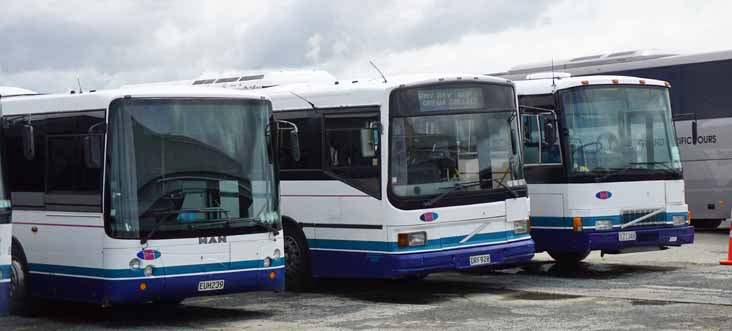 Bayes MAN NG313F Kiwi 100 Volvo B10MA Duple Metsec 98 Volvo B10ML Fuji 78